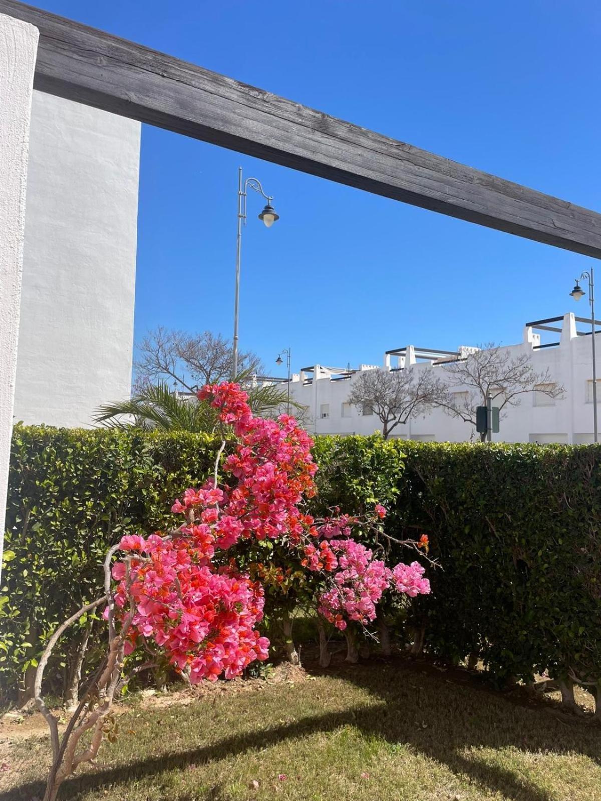 Апартаменты Casa Luisa Jardin 10 Condado De Alhama Алама-де-Мурсия Экстерьер фото